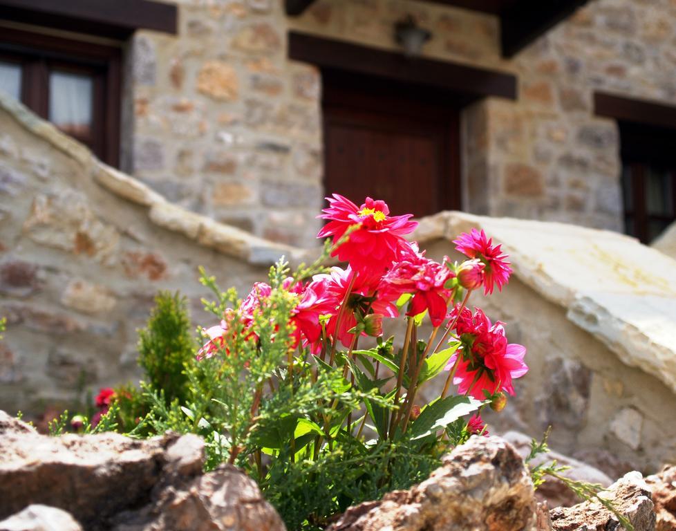Oihalia Guesthouse Fidhákia Dış mekan fotoğraf