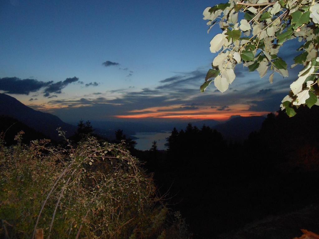 Oihalia Guesthouse Fidhákia Dış mekan fotoğraf